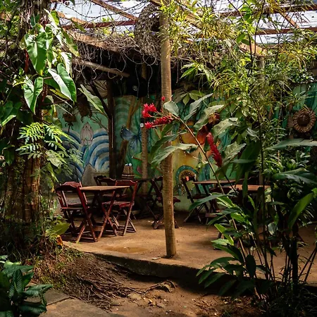 Bananas Hostel-3